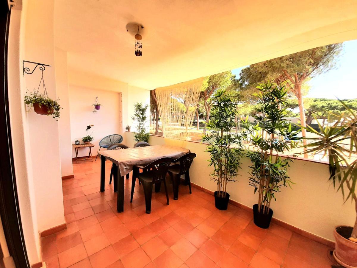 אלבופיירה Apartment Amalia מראה חיצוני תמונה