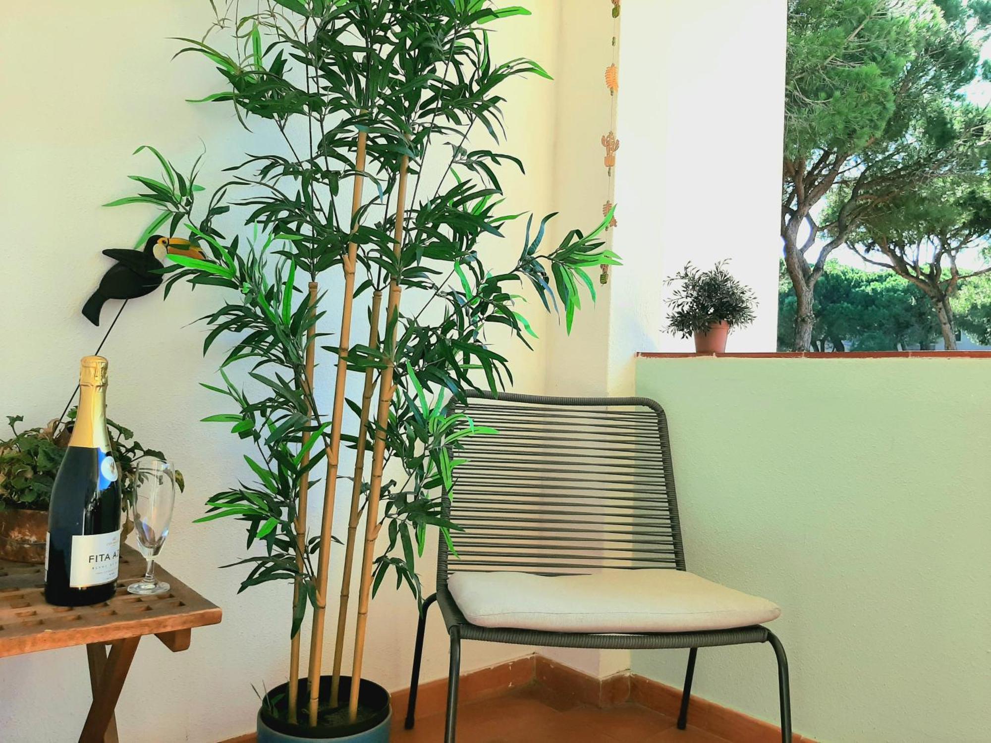 אלבופיירה Apartment Amalia מראה חיצוני תמונה